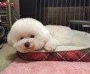 ちょっと息抜き☆心のつぶやきお聞きします どんなお話でもOK！大丈夫♥️ イメージ1