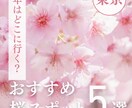 インスタグラムのデザインテンプレを作成します \その投稿、なんとなくで作っていませんか？ / イメージ6