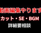 動画編集やります 動画投稿に挑戦してみたい方、編集未経験者必見！ イメージ1