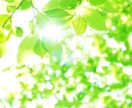 話し相手が必要なかたへ。話を聞きます。励まします 話し相手になります(^^)あなたの気持ちが癒されますように。 イメージ3