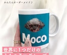 うちの子マグカップを制作します 写真でつくるオーダーメイド／名入れ・カラー選択OK イメージ1