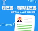 転職支援のプロが履歴書・職務経歴書を作成します 海外・国内で採用経験がある現役キャリアアドバイザーがサポート イメージ1