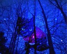 写真を使いインスタグラム等に活用出来る作品にします 自分の写真を使ってお洒落な作品を作りたい方へ！ イメージ2
