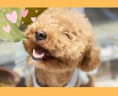 5分からOK！気軽に相談何でも聞きます 人間関係✶仕事✶恋愛✶婚活！話すことでスッキリモヤモヤ解消 イメージ6
