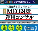 GoogleマップMEOを自走できる仕組み作ります 構築はプロに任せたい！でもずっと運用代行に頼り続けたくない方 イメージ1