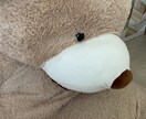 マッチングアプリで出会った人との相談にのります マッチングアプリ登録したけどその後上手くいかない人にむけて イメージ1