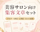 美容サロンの集客文章セットを作成します ブログ・SNS・LINE・口コミ返信をまとめてご用意します イメージ2