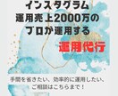 インスタグラムの運用代行します 動かしたいけど効果的な運用が分からない！お任せください！ イメージ1