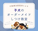 子犬期のしつけを4ヵ月齢まで継続サポートします 行動専門獣医師によるオーダーメイドのしつけ相談室です。 イメージ1