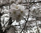 出会い系アプリの使い方を伝授します 出会いに繋がる、プロフ・トークに関するアドバイス イメージ1