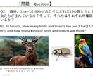 海外進出向け『英語プレゼン』の構成を請け負います 脚本構造×生物学データで世界を動かす国際プレゼンプロデュース イメージ1