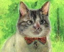 あたたかみのある猫ちゃんの似顔絵描きます 他SNSで販売実績あり！初めて絵を注文する方にも安心です。 イメージ8