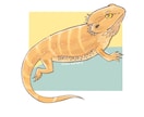 生き物の可愛いイラストを作成します ペット・好きな生き物を手描き感のあるイラストにします！ イメージ1