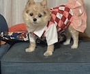 お写真からワンちゃんのモノクロ似顔絵描きます お二人までお値段そのまま！データのみのお渡しなので早い！ イメージ5