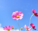 あなたの気持ちにそっと寄り添います 心のモヤモヤゆっくりお話しませんか？ イメージ9