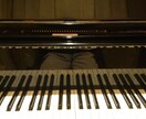 ピアノ伴奏いたします 歌っている曲をピアノ伴奏で歌いたいという方は是非！ イメージ1