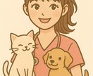 ペットのお悩み相談｜獣医師が丁寧にお答えします 犬猫の体調・しつけ・看取りまで、どんなお悩みも歓迎です。 イメージ1