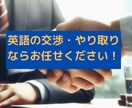 英語又はベトナムにおけるやり取りの代行いたします SNS上での海外とのやり取りや本格的な交渉まで幅広く対応！ イメージ1