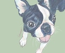ポップでカラフルにペットを描きます ～可愛く愛犬をかざりませんか～ イメージ7