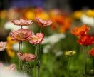 今日あった嫌なこと忘れたいこと、愚痴をお聞きします 寝る前の少しの時間でストレスケアをしてすっきりしましょう イメージ5