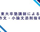 作文・小論文の添削をいたします 小学生〜大学生まで幅広く対応いたします イメージ1