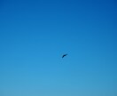 暇つぶしお相手します どこか空虚で退屈で暇だなと感じている同士よ、集え！ イメージ8
