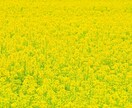 実はブラック企業⁉︎頑張るあなたの味方になります 毎日真面目に働いていても評価されずサービス残業でヘトヘトな方 イメージ5