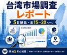 台湾市場の調査レポートを5日で納品します 公開情報+現地ネット情報を多角的に分析 イメージ1