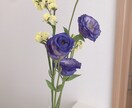あなたのお悩み事に言葉で力になります 主婦の人に寄り添うことができればと思います。 イメージ1