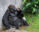 筋肥大の成長限界突破法を伝授します あなたの筋肉に眠る”原始の力”を覚醒させる イメージ7