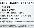丸投げOK！集客特化のショート動画を制作します マーケター視点で企画から編集まで！TikTok・リール対応 イメージ6