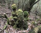 あなたの心とお悩みに3日間寄り添います あなたの背負う苦痛を半分、私に持たせてください。 イメージ1