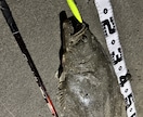 キャスト性能向上とサーフでの魚の釣り方を教えます 周りと差をつけるキャスト、よりキャッチ率を上げる考え方 イメージ4