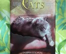 悩み事解消へのオラクルメッセージを伝えます カードで『今・問題・状況（相手）・アドバイス』お告げします。 イメージ1
