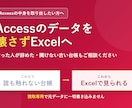 Accessのデータを安全にExcel化します 開けない・誰も触れないAccessの中身を取り出します イメージ1