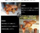 実物感重視の5枚セット画像編集を行います 大型商品やEC・オークション出品に イメージ2