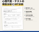 心理尺度・テストの項目分析とIRT分析をします 統計検定1級(統計応用)合格者が分析方法を明記して納品 イメージ1