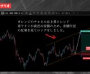 FX未経験でもOK！30日マンツーマン講座をします 完全個別型レッスン、プロトレーダーが実践形式でコーチング！ イメージ3