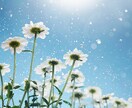悩みをクリアに☆彡気持ちに寄り添い心を軽くします サイキックタロットで問題を紐解き、未来に明かりを灯します イメージ1