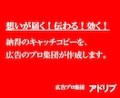 広告のプロが、あなたにキャッチコピー、つけます 受賞歴多数！実績豊富なコピーライター（現役TCC会員）が制作 イメージ1