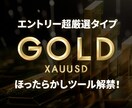 ゴールド専用｜超厳選エントリーツール解禁します トレンドフォロー・非ナンピンマーチン・特殊損切りロジック搭載 イメージ1