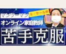 オンライン家庭教師：あなたの課題を一緒に解決します ラ・サール卒プロ講師があなたの疑問に1対1で丁寧に対応します イメージ1
