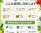 この野菜、今から間に合うか現役農家が判定します 野菜1品目の状況を整理し、次に行う作業を提案します イメージ2