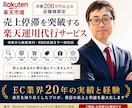 楽天市場 売上停滞突破・運用代行します 楽天月商200万円以上の店舗運用を改善 各ECモールにも対応 イメージ1