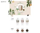 あなたの為のオリジナルwebサイト作ります 他と違う、高品質で、デザインから構築まで全部お任せください。 イメージ4
