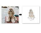 ペットの似顔絵を作成します ◼︎激安価格で楽しむペット似顔絵◼︎ イメージ6