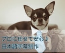 納期最短１日！５分以下の映像の日本語字幕作ります プロの映像翻訳者が丁寧に対応いたします イメージ1