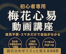 梅花心易動画講座　超々入門/気軽に吉凶が占えます LINEからでも占えます。梅花心易を用いて簡単に吉凶まで イメージ1