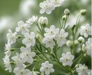 まずは5分でも☘️心がホッとする時間を届けます 人生どん底からの共感力で、そっと寄り添います イメージ7