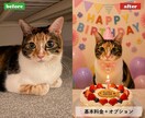 愛犬、愛猫のお写真を心温まるアート作品にします 写真1枚からうちの子を記念日、メモリアル、コスプレ風に イメージ4